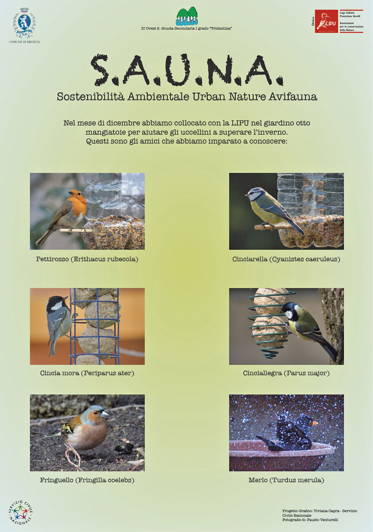 Installazione e gestione di mangiatoie per uccelli - LIPU - Sezione di  Brescia
