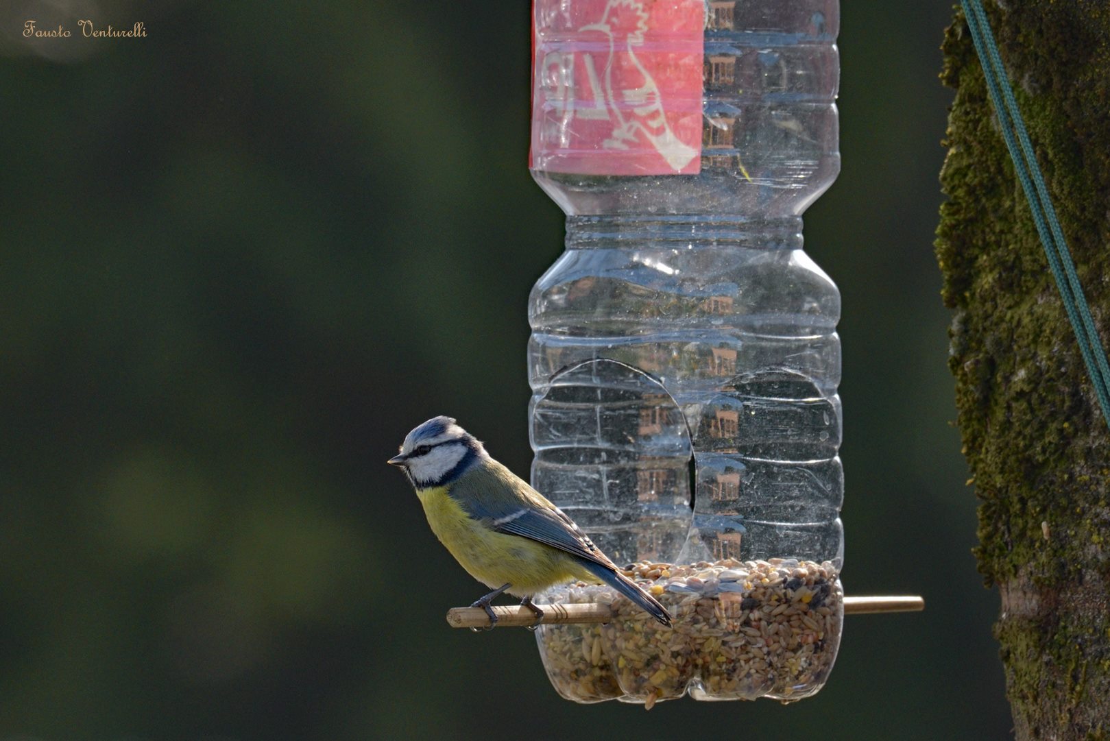 Colibri Durevole Ufficio Terrazza Mangiatoia per Uccelli Container Regolabile Da Colibrì 