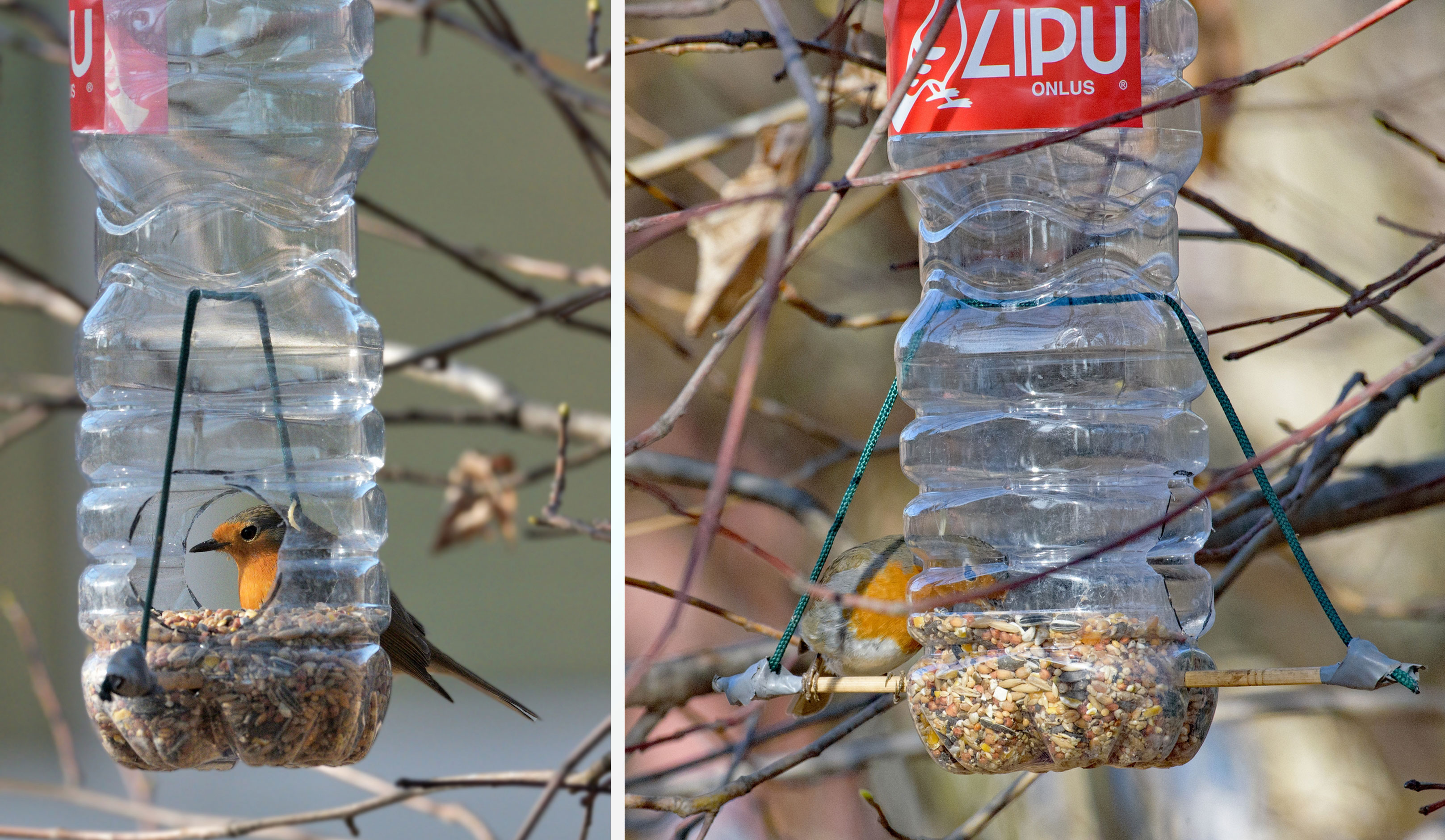 Come costruire una mangiatoia per piccoli uccelli con una bottiglia di  plastica - LIPU - Sezione di Brescia