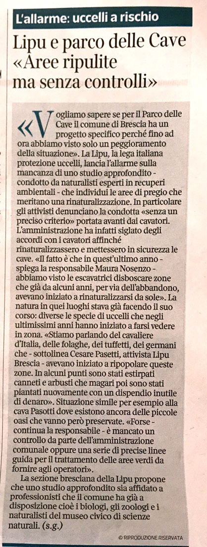 Corriere della Sera inserto Brescia 11-06-2017